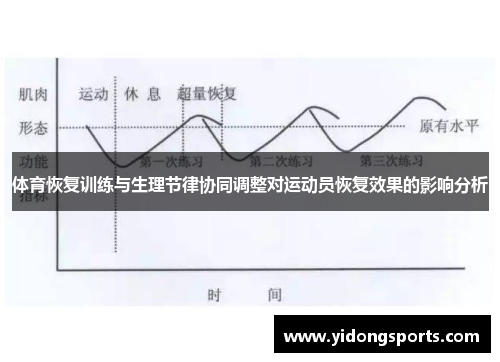 体育恢复训练与生理节律协同调整对运动员恢复效果的影响分析