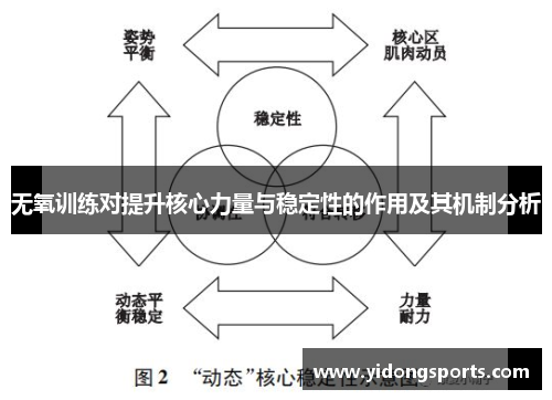 无氧训练对提升核心力量与稳定性的作用及其机制分析